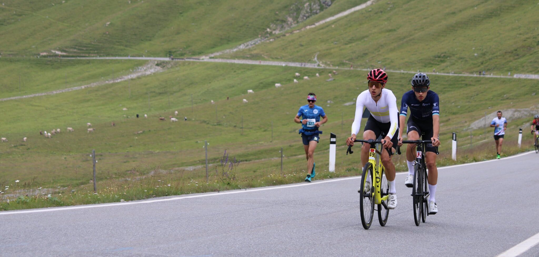 Gaffu e il Bandito alla Re Stelvio Mapei