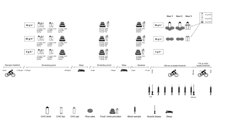 Protocollo del test